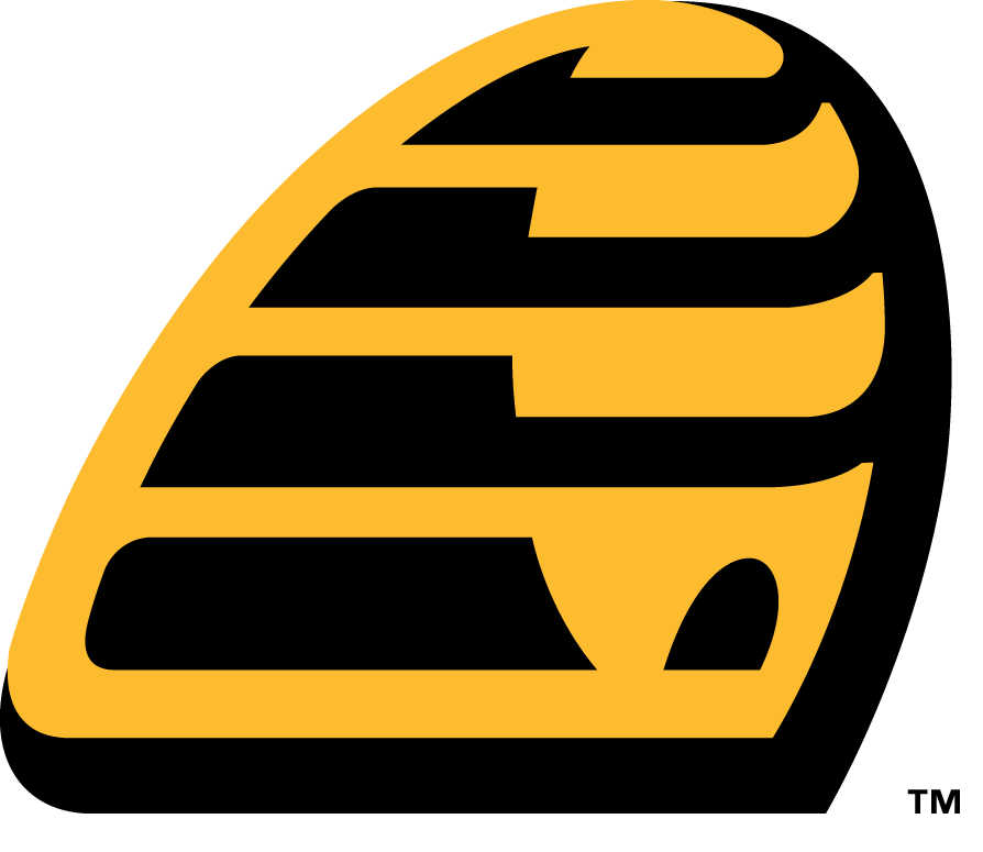 New Britain Bees 2016-Pres Alternate Logo v2 iron on transfers for T-shirts